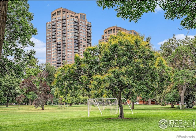 2124 E 17th Ave Unit 5, Denver, CO 80206 - photo 21