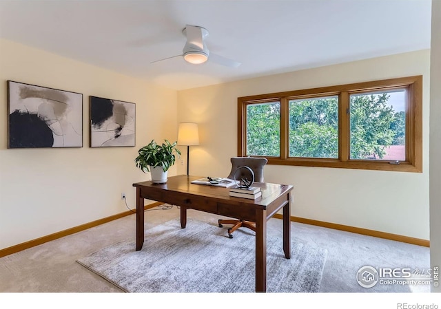 3495 Everett Dr, Boulder, CO 80305 - photo 23