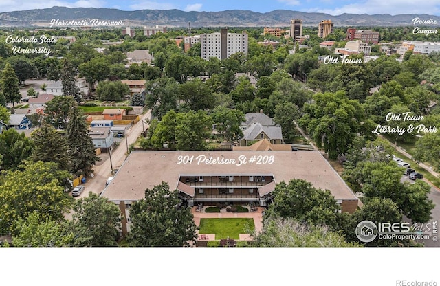 301 Peterson St Unit 208, Fort Collins, CO 80524 - photo 11