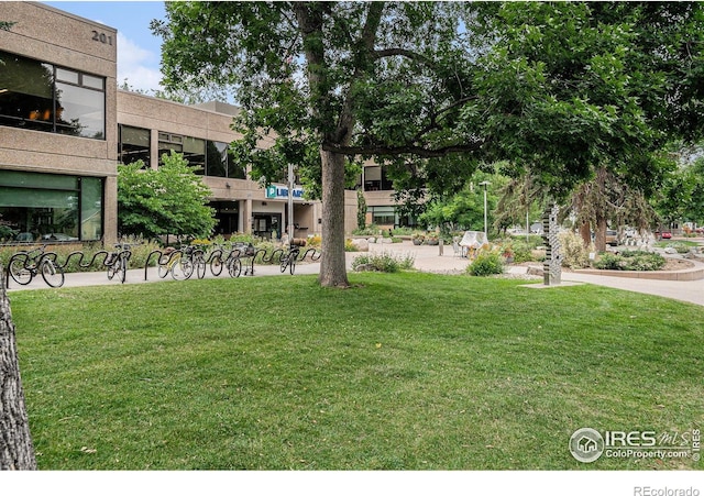 301 Peterson St Unit 208, Fort Collins, CO 80524 - photo 14