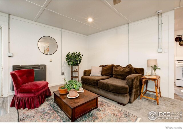 521 S Bryan Ave, Fort Collins, CO 80521 - photo 34