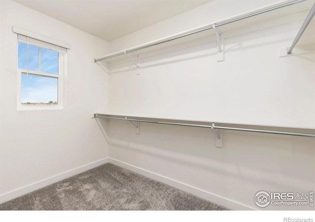 1478 Peach Ave, Erie, CO 80516 - photo 14