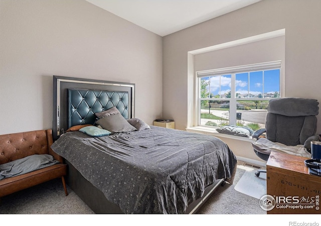 768 Sandpoint Dr, Longmont, CO 80504 - photo 17