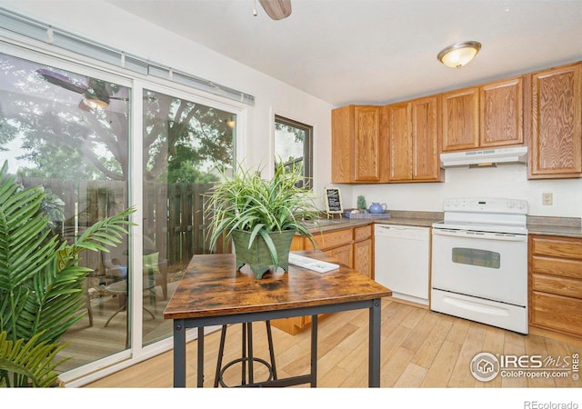 3005 Ross Dr Unit T6, Fort Collins, CO 80526 - photo 7