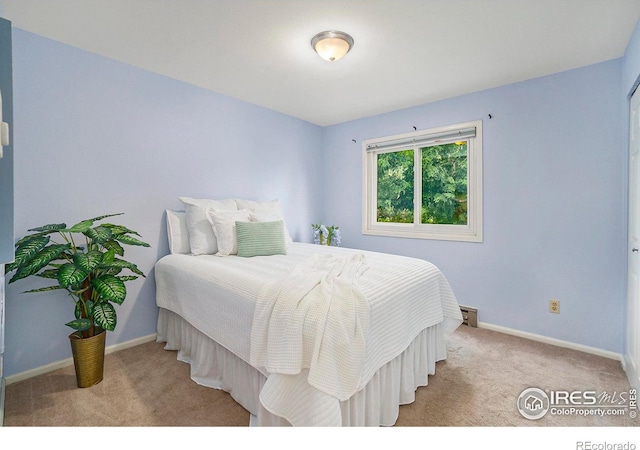3005 Ross Dr Unit T6, Fort Collins, CO 80526 - photo 10