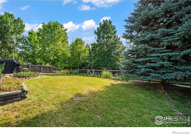 1313 Carnation Cir, Longmont, CO 80503 - photo 19
