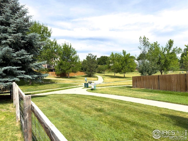 1313 Carnation Cir, Longmont, CO 80503 - photo 23