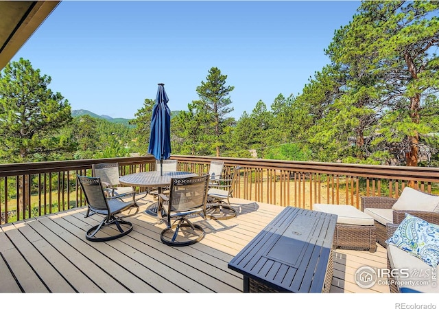 1736 Dekker Cir, Estes Park, CO 80517 - photo 5