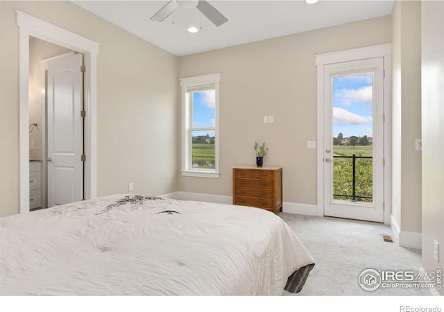 6511 Crooked Stick Dr, Windsor, CO 80550 - photo 15