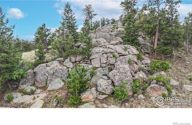 2891 Green Mountain Dr, Livermore, CO 80536 - photo 30