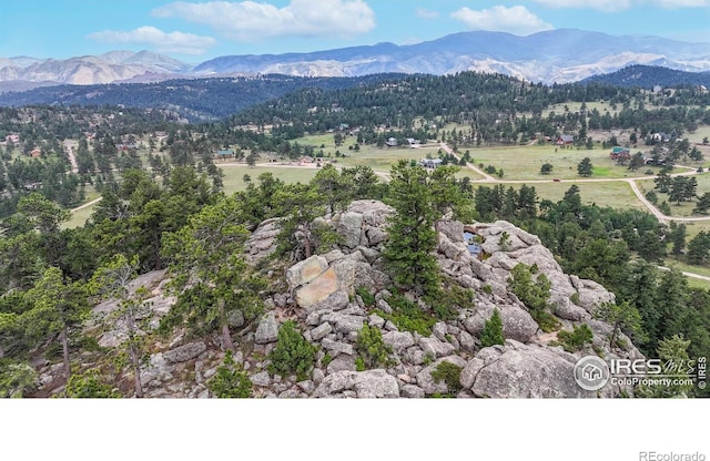 2891 Green Mountain Dr, Livermore, CO 80536 - photo 33