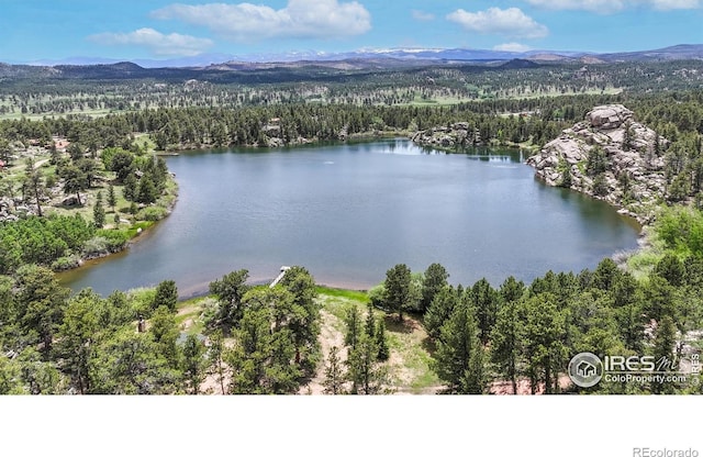 2891 Green Mountain Dr, Livermore, CO 80536 - photo 34