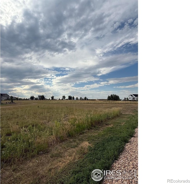 1508 Flowering Tree Ct, Windsor, CO 80550 - photo 2