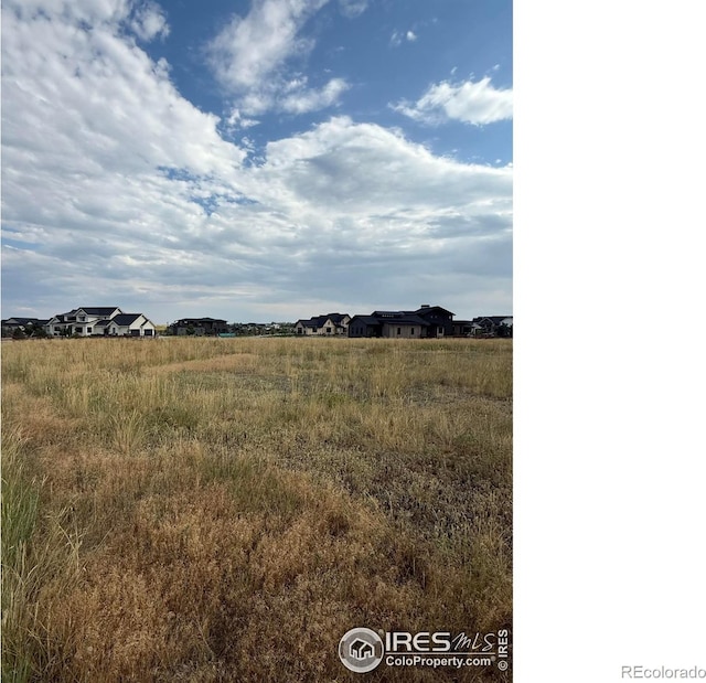 1508 Flowering Tree Ct, Windsor, CO 80550 - photo 3