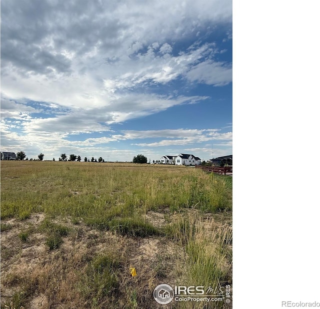 1508 Flowering Tree Ct, Windsor, CO 80550 - photo 4