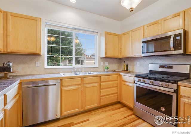 2463 Clarion Ln, Fort Collins, CO 80524 - photo 13