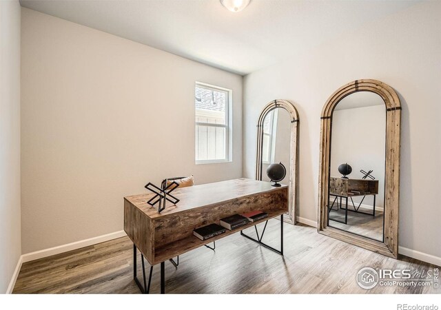 2146 Walbridge Rd, Fort Collins, CO 80524 - photo 11