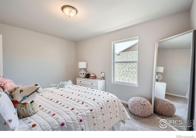2146 Walbridge Rd, Fort Collins, CO 80524 - photo 18