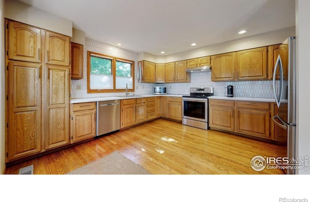 4560 Seaboard Ln, Fort Collins, CO 80525 - photo 10