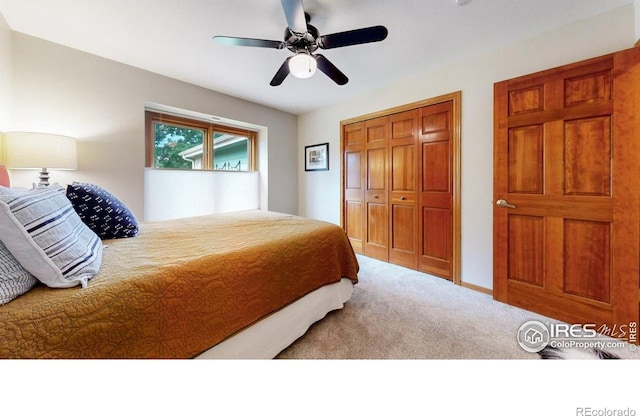 4560 Seaboard Ln, Fort Collins, CO 80525 - photo 17