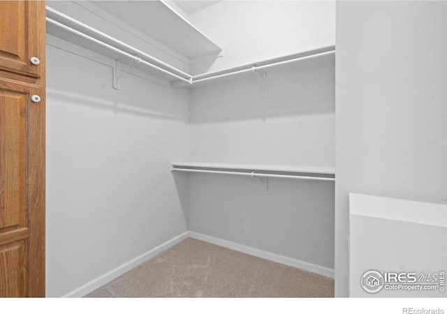 32653 Stagecoach Rd, Windsor, CO 80550 - photo 21