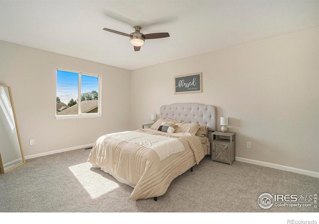 3210 67th Avenue Pl, Greeley, CO 80634 - photo 14