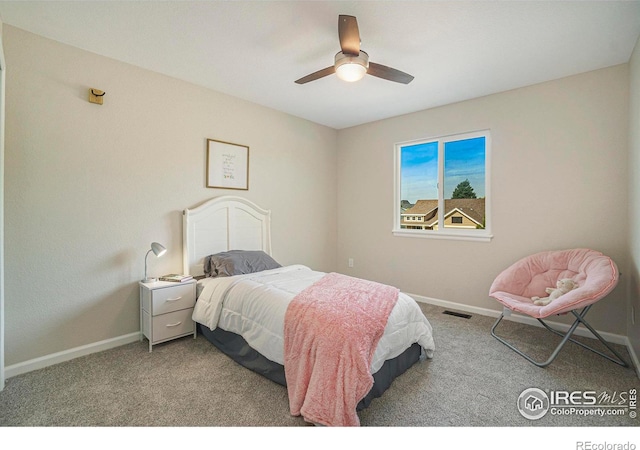 3210 67th Avenue Pl, Greeley, CO 80634 - photo 17