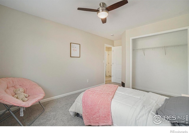 3210 67th Avenue Pl, Greeley, CO 80634 - photo 18