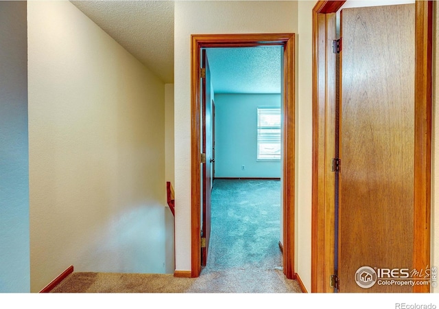 920 44th Avenue Ct Unit 29, Greeley, CO 80634 - photo 17