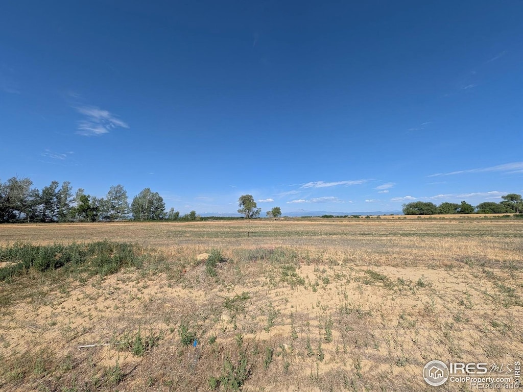 15283 Ypsilon Cir, Mead, CO 80542 - photo 3