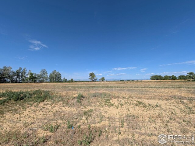 15283 Ypsilon Cir, Mead, CO 80542 - photo 3