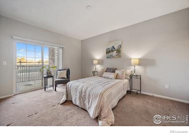 3155 Blue Sky Cir Unit 102, Erie, CO 80516 - photo 9