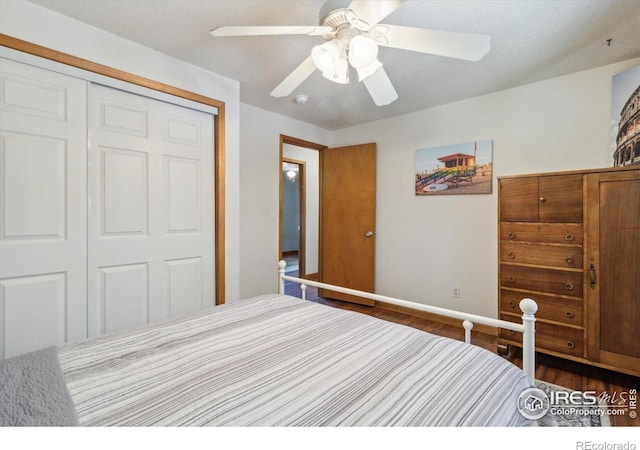 852 Hubbard Dr, Longmont, CO 80504 - photo 12