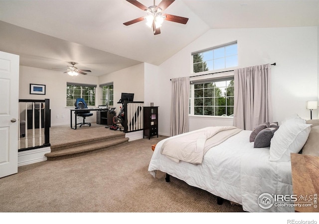 238 Wood Duck Ct, Windsor, CO 80550 - photo 17