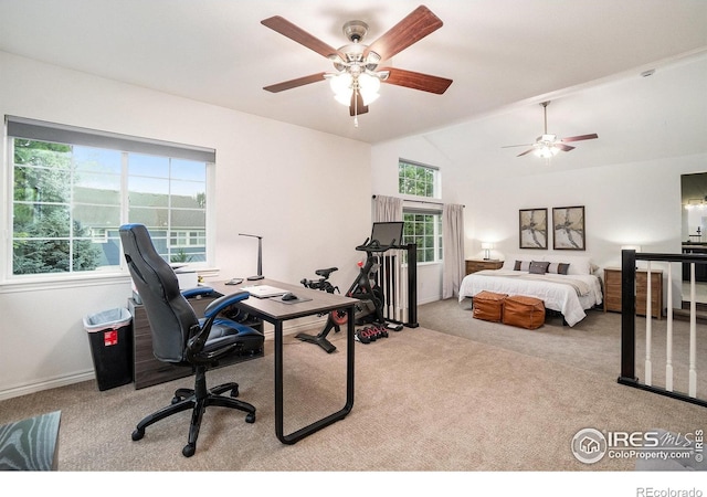 238 Wood Duck Ct, Windsor, CO 80550 - photo 18
