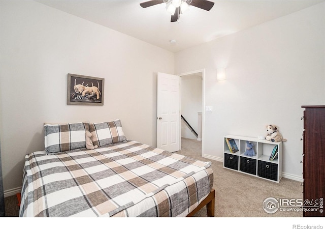 238 Wood Duck Ct, Windsor, CO 80550 - photo 22