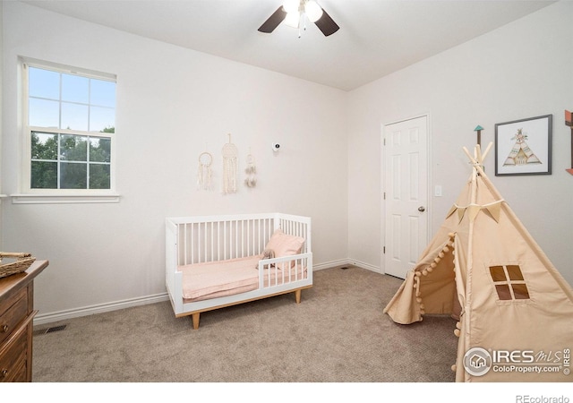 238 Wood Duck Ct, Windsor, CO 80550 - photo 23