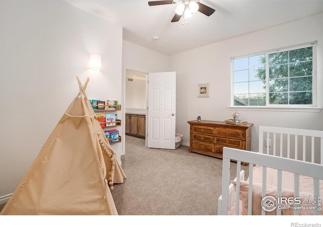 238 Wood Duck Ct, Windsor, CO 80550 - photo 24