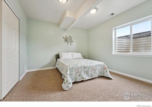 6612 34th St, Greeley, CO 80634 - photo 22