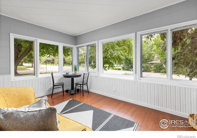 831 4th Ave, Longmont, CO 80501 - photo 6
