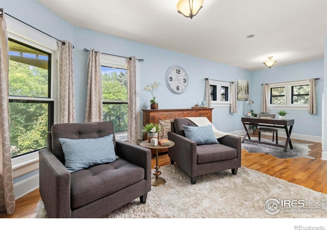 831 4th Ave, Longmont, CO 80501 - photo 30
