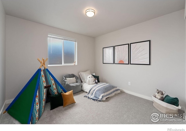 2726 Sykes Dr, Fort Collins, CO 80524 - photo 24