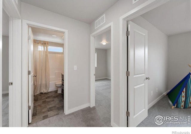 2726 Sykes Dr, Fort Collins, CO 80524 - photo 26