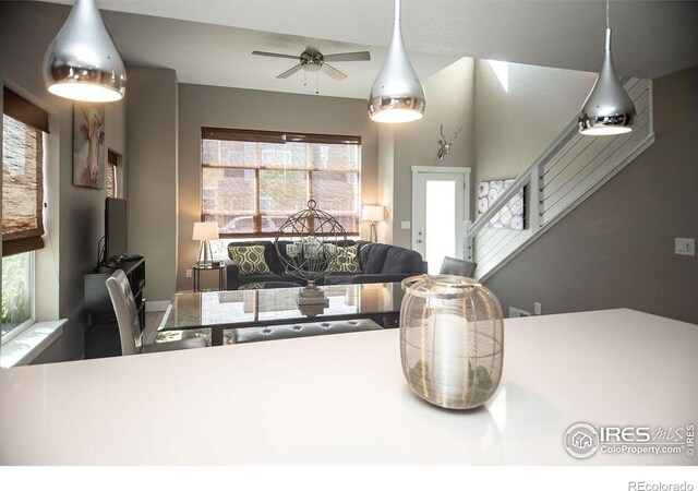 850 Baum St Unit A, Fort Collins, CO 80524 - photo 13
