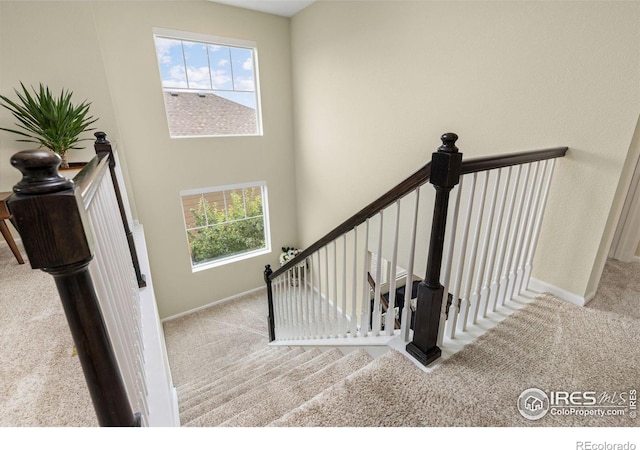 833 Audubon Peak Dr, Erie, CO 80516 - photo 13