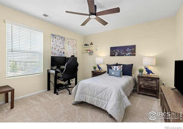 833 Audubon Peak Dr, Erie, CO 80516 - photo 22