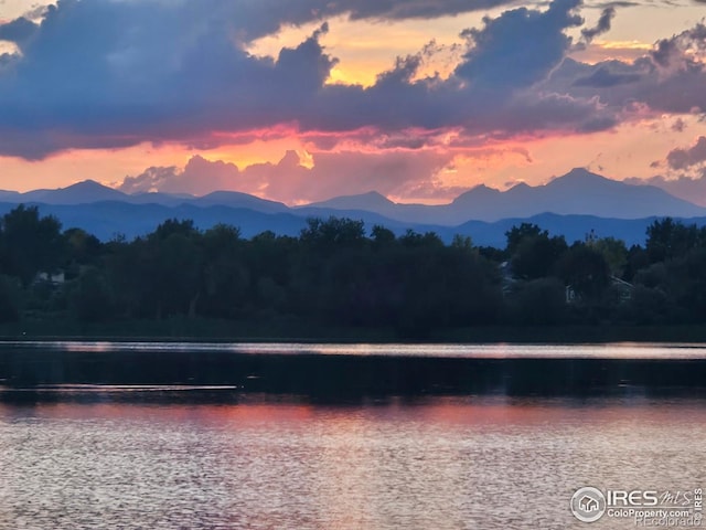 725 Julian Cir, Lafayette, CO 80026 - photo 30