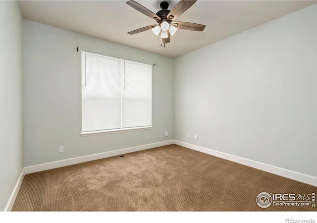 5609 Coppervein St, Fort Collins, CO 80528 - photo 21