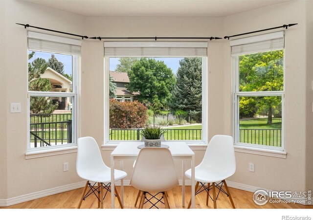2988 Bellmeade Way, Longmont, CO 80503 - photo 11