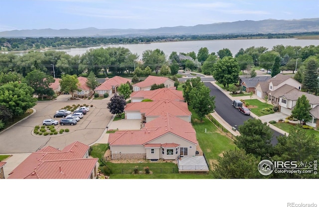 2988 Bellmeade Way, Longmont, CO 80503 - photo 32